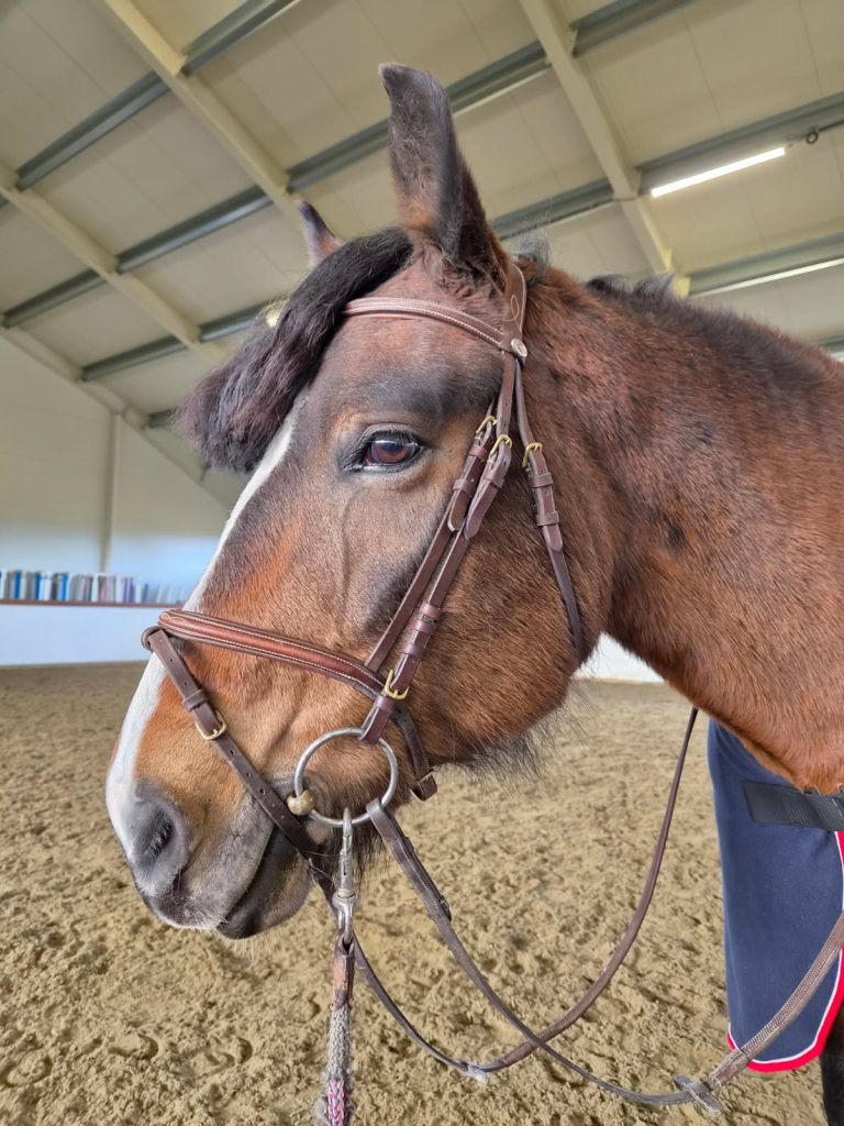 Flicka4